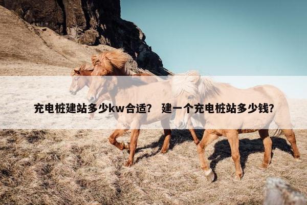 充电桩建站多少kw合适？ 建一个充电桩站多少钱？