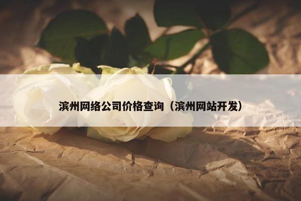 滨州网络公司价格查询（滨州网站开发）