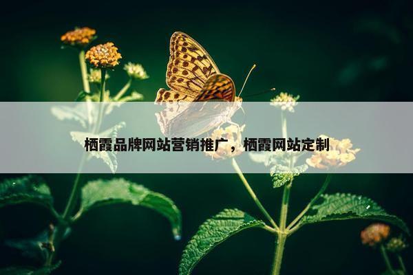 栖霞品牌网站营销推广，栖霞网站定制