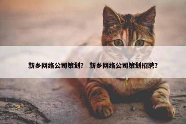 新乡网络公司策划？ 新乡网络公司策划招聘？