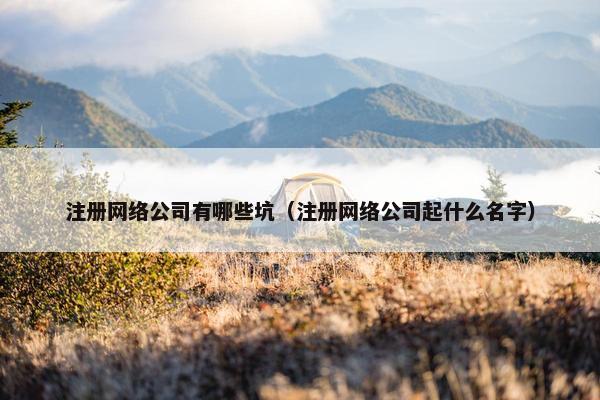 注册网络公司有哪些坑（注册网络公司起什么名字）
