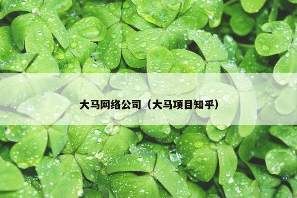大马网络公司（大马项目知乎）