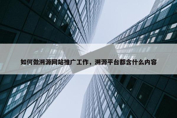 如何做溯源网站推广工作，溯源平台都含什么内容