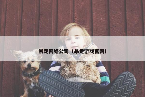 暴走网络公司（暴走游戏官网）