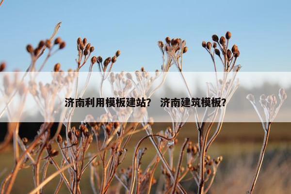 济南利用模板建站？ 济南建筑模板？