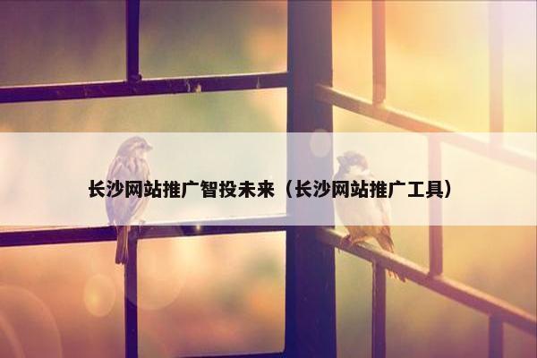 长沙网站推广智投未来（长沙网站推广工具）
