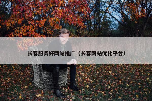 长春服务好网站推广（长春网站优化平台）