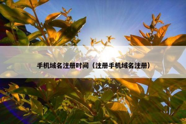 手机域名注册时间（注册手机域名注册）