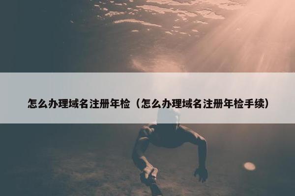 怎么办理域名注册年检（怎么办理域名注册年检手续）
