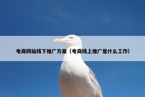 电商网站线下推广方案（电商线上推广是什么工作）