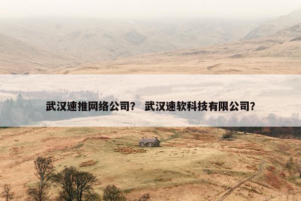 武汉速推网络公司？ 武汉速软科技有限公司？
