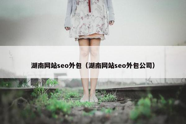 湖南网站seo外包（湖南网站seo外包公司）