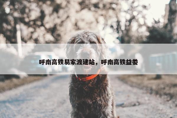呼南高铁易家渡建站，呼南高铁益娄
