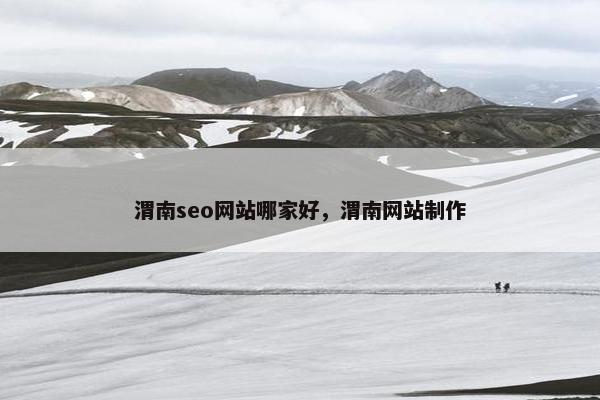 渭南seo网站哪家好，渭南网站制作