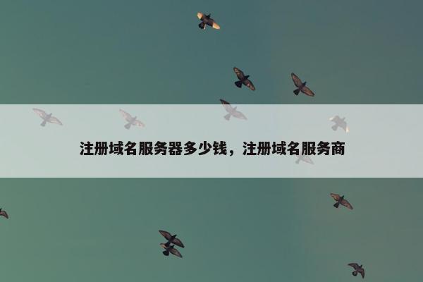 注册域名服务器多少钱，注册域名服务商