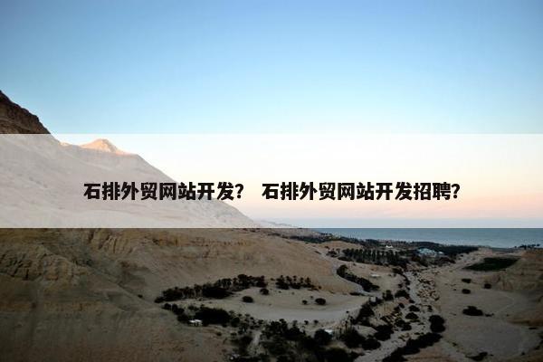 石排外贸网站开发？ 石排外贸网站开发招聘？