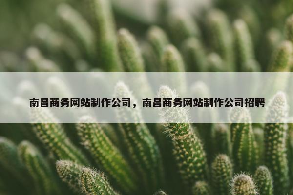 南昌商务网站制作公司，南昌商务网站制作公司招聘
