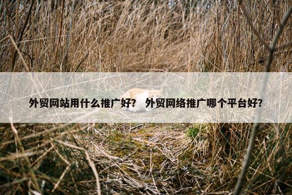 外贸网站用什么推广好？ 外贸网络推广哪个平台好？