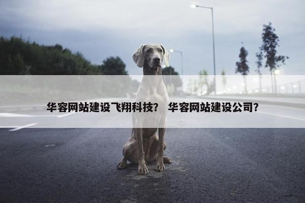华容网站建设飞翔科技？ 华容网站建设公司？