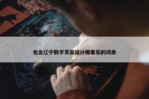 包含辽宁数字页面设计哪里买的词条
