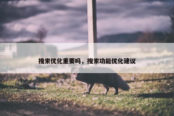 搜索优化重要吗，搜索功能优化建议