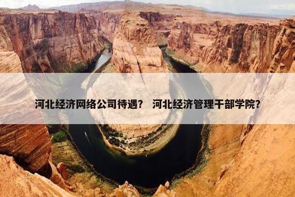 河北经济网络公司待遇？ 河北经济管理干部学院？