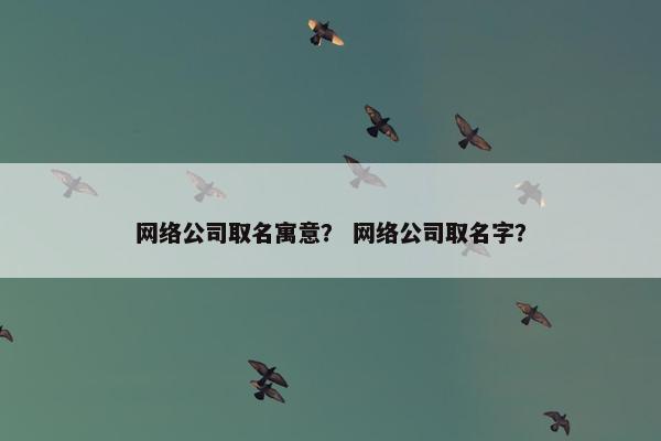网络公司取名寓意？ 网络公司取名字？