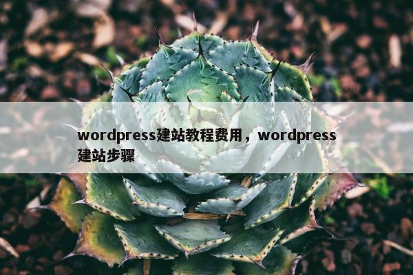 wordpress建站教程费用，wordpress建站步骤