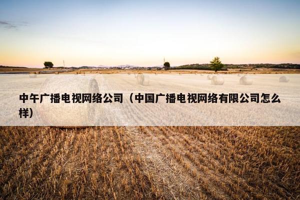 中午广播电视网络公司（中国广播电视网络有限公司怎么样）