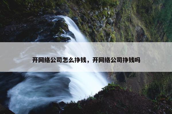 开网络公司怎么挣钱，开网络公司挣钱吗