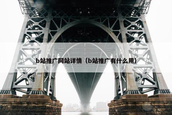 b站推广网站详情（b站推广有什么用）