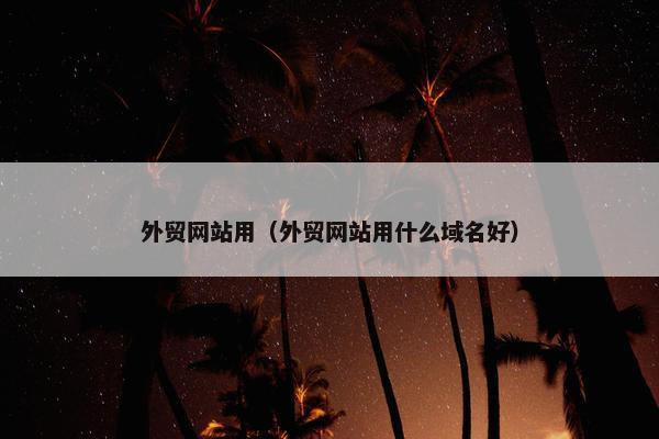外贸网站用（外贸网站用什么域名好）