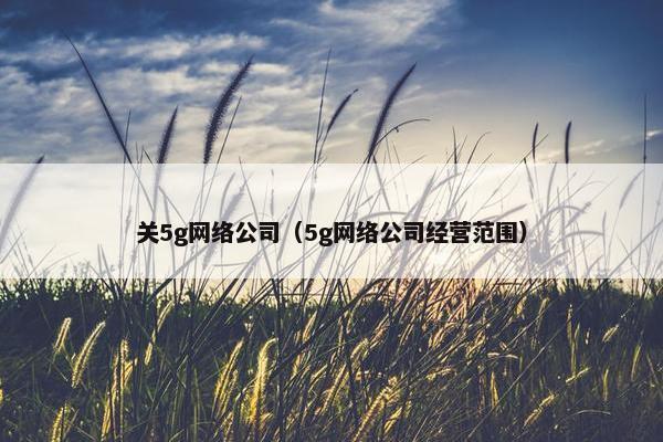 关5g网络公司（5g网络公司经营范围）