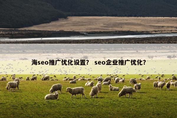 海seo推广优化设置？ seo企业推广优化？