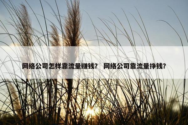 网络公司怎样靠流量赚钱？ 网络公司靠流量挣钱？