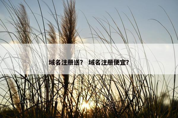 域名注册送？ 域名注册便宜？