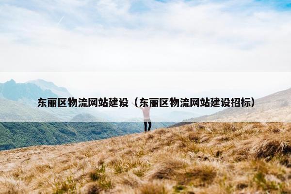 东丽区物流网站建设（东丽区物流网站建设招标）