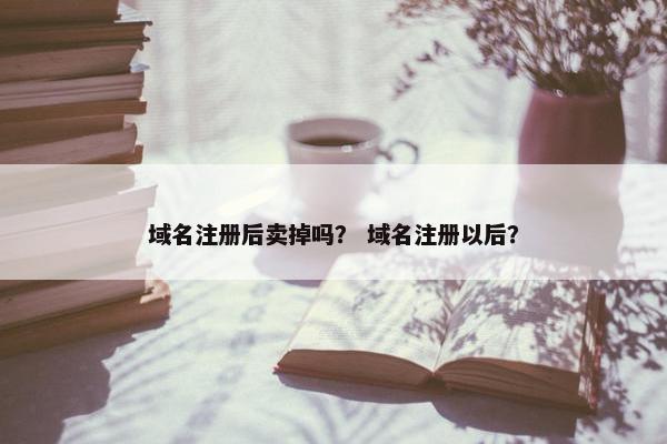 域名注册后卖掉吗？ 域名注册以后？