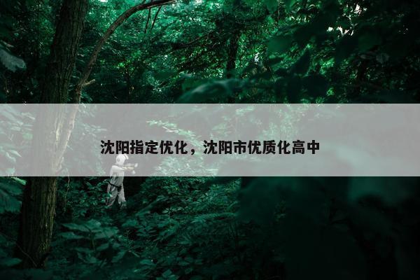 沈阳指定优化，沈阳市优质化高中