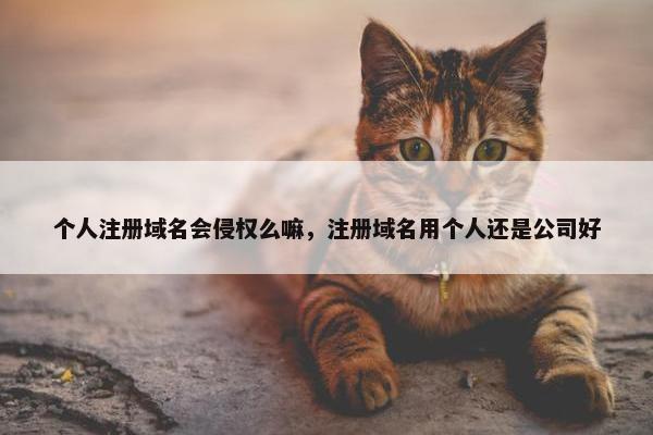 个人注册域名会侵权么嘛，注册域名用个人还是公司好