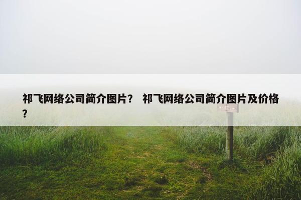 祁飞网络公司简介图片？ 祁飞网络公司简介图片及价格？