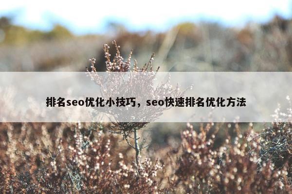 排名seo优化小技巧，seo快速排名优化方法