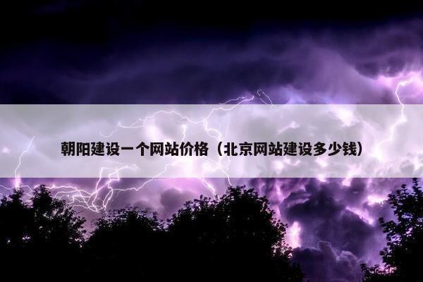 朝阳建设一个网站价格（北京网站建设多少钱）