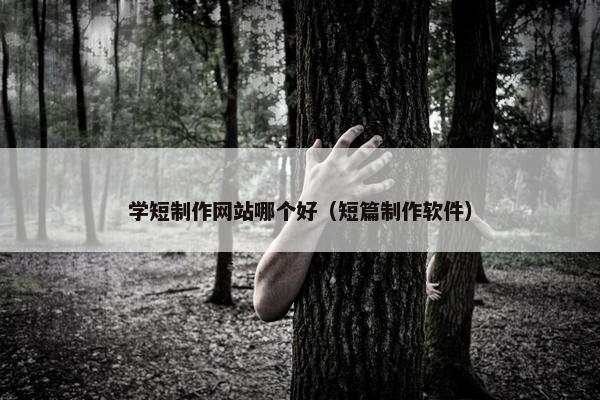 学短制作网站哪个好（短篇制作软件）
