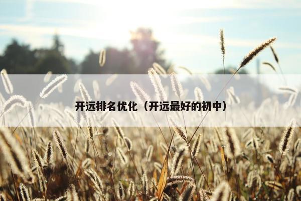 开远排名优化（开远最好的初中）