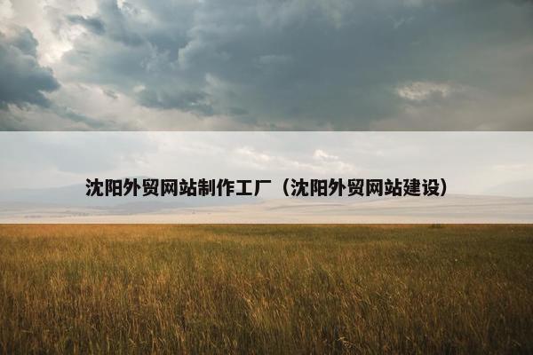 沈阳外贸网站制作工厂（沈阳外贸网站建设）