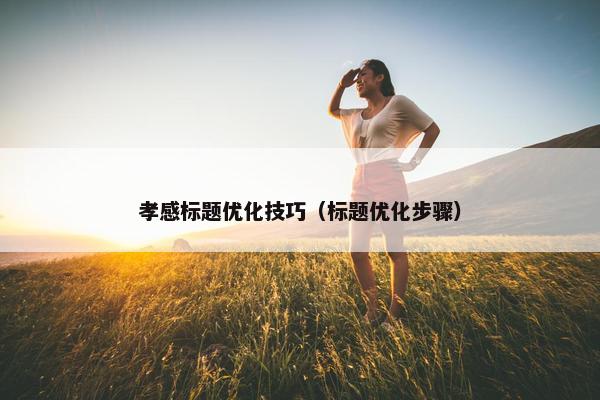 孝感标题优化技巧（标题优化步骤）
