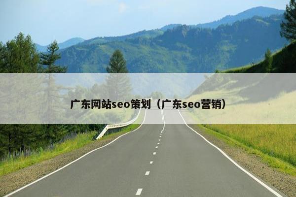 广东网站seo策划（广东seo营销）