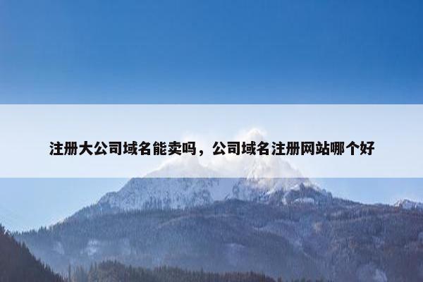 注册大公司域名能卖吗，公司域名注册网站哪个好