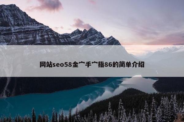网站seo58金宀手宀指86的简单介绍